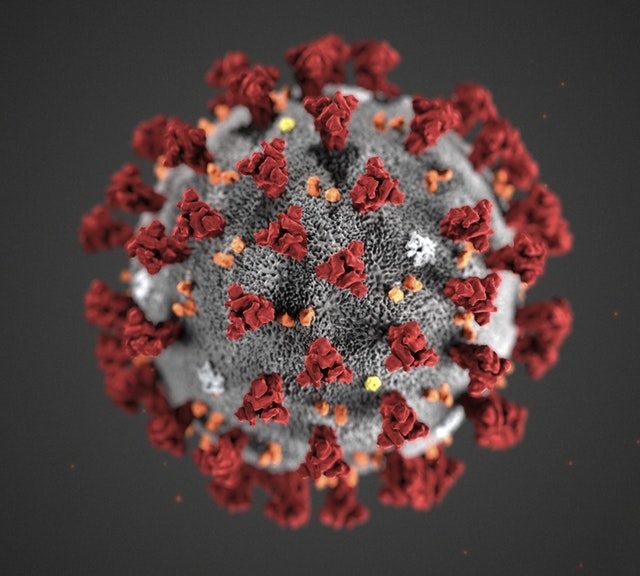 SARS-CoV-2, das neuartige Coronavirus