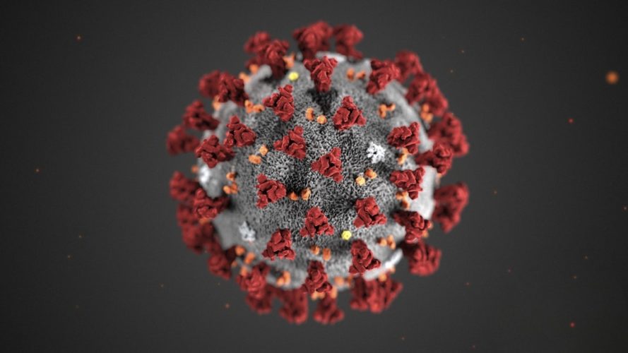 SARS-CoV-2, das neuartige Coronavirus